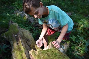 Naturpark Nagelfluhkette