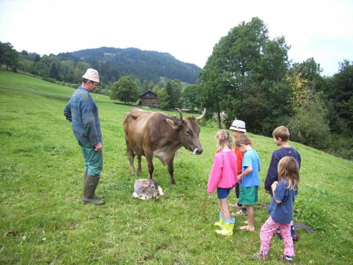 glückliche Kuh mit Kalb