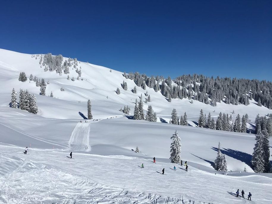Piste