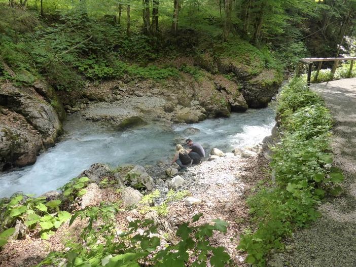 Wilde Wasser