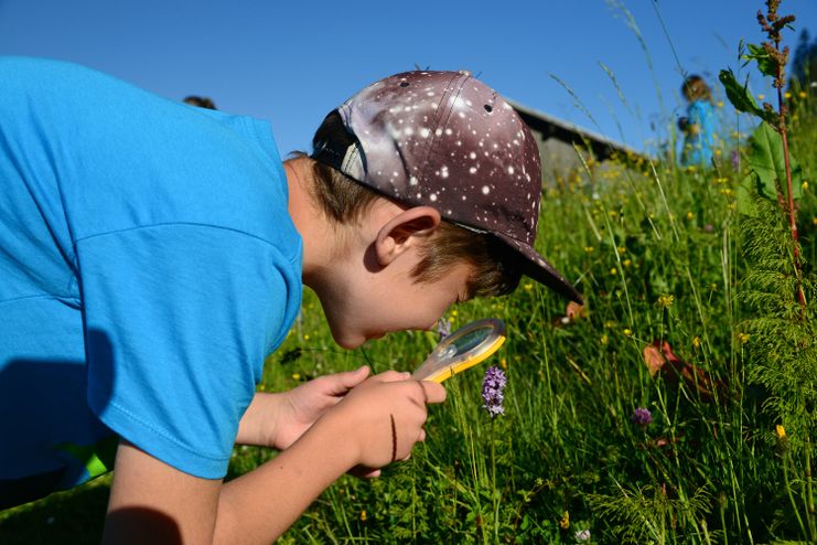 Forschertag Wiese_Thomas Gretler