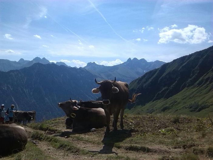 Bergblick