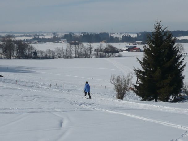 Bei Ronried