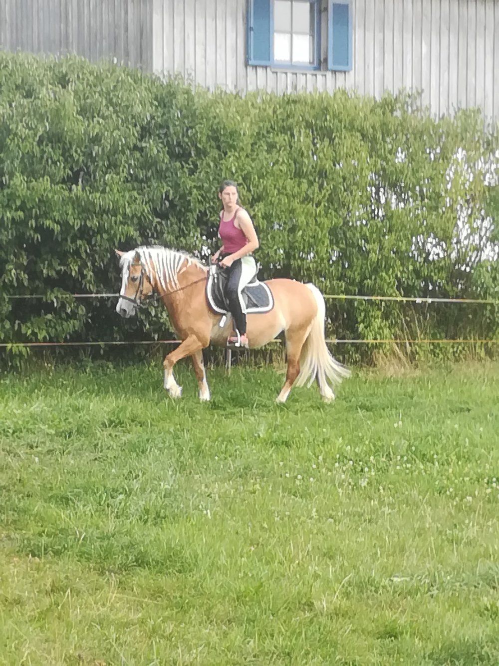 Reiten