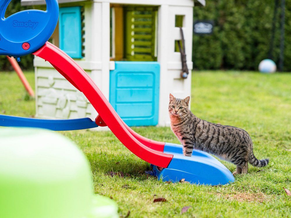 Hofeigener Spielplatz