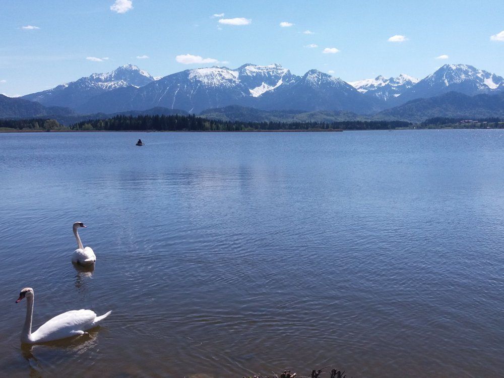 Der wunderschöne Hopfensee ist nur wenige Fahrminuten von uns entfernt