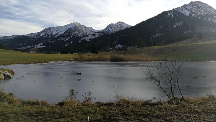 Floschen Weiher