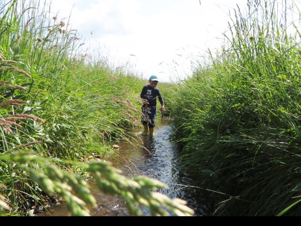 Einfach mal die Natur erkunden...