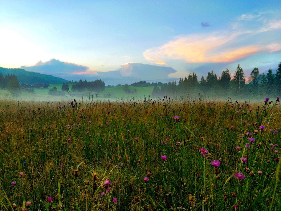 Herbstliche Abendstimmung im Tiefenberger Moos