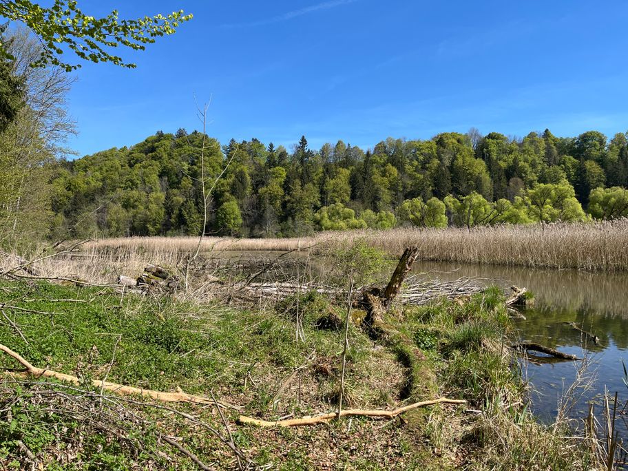 Wegeabschnitt