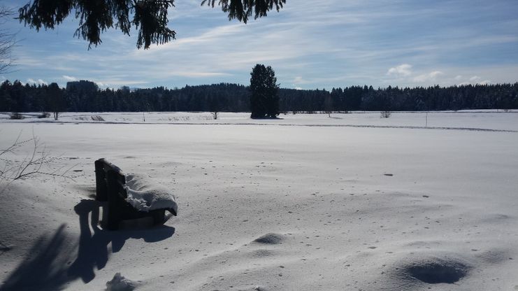 Winterwanderweg in Eisenharz