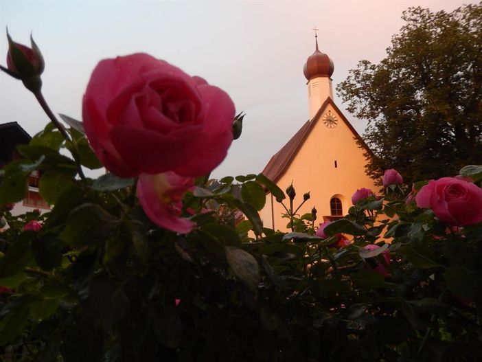 Rosenzeit Reisezeit