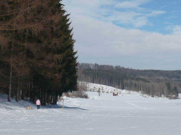 Am Berger Holz nördlich von Obergünzburg