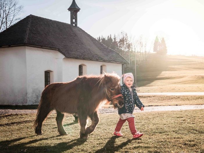 Ponyreiten