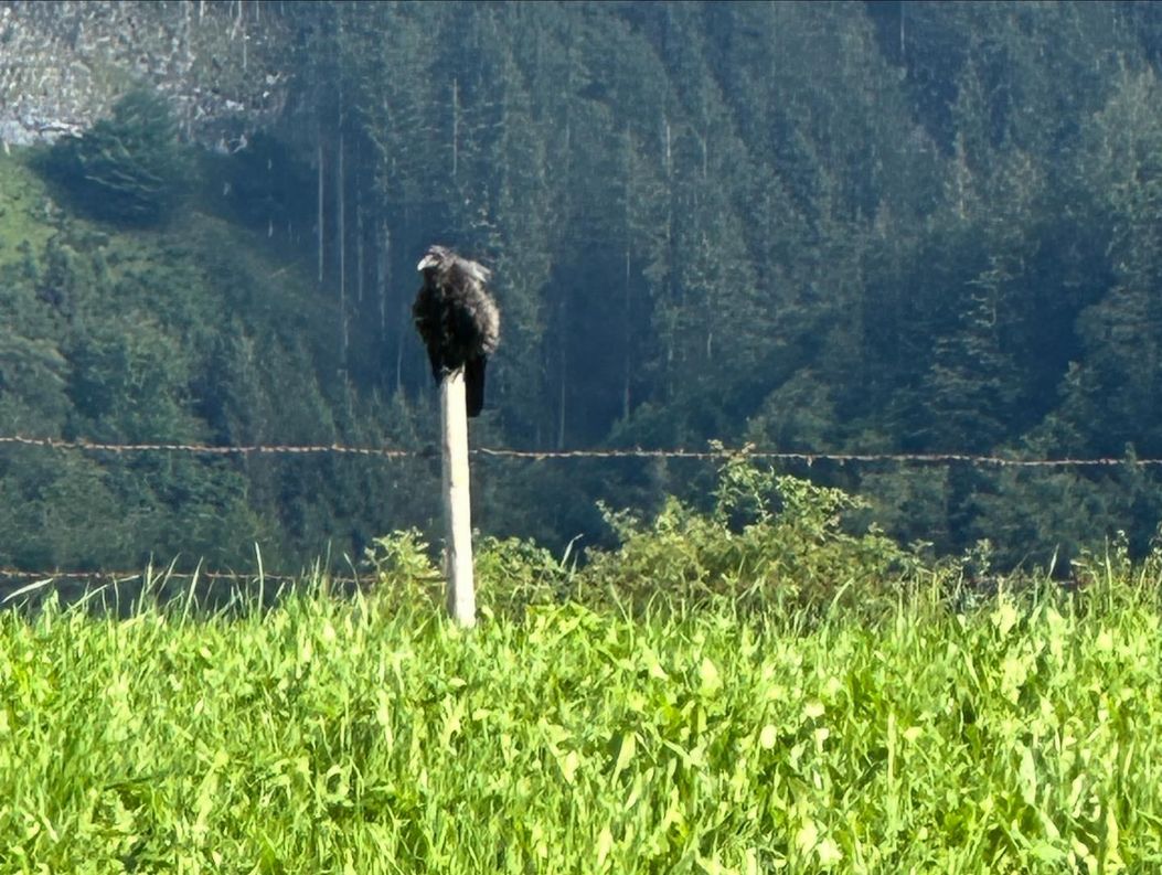 2E1B29BC-7F21-4080-8A8B-B1DE828F9D12