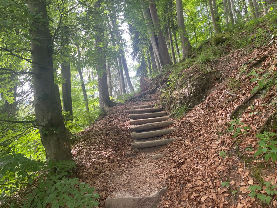 Wegeabschnitt