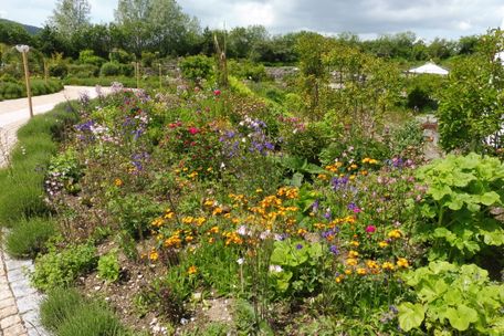 Dr. Michael Schneider, Primavera Life GmbH