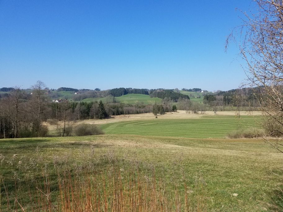 Blick ins Karbachtal