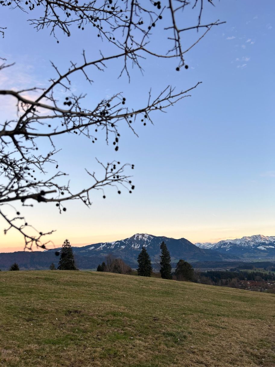 Blick vom Hochholder