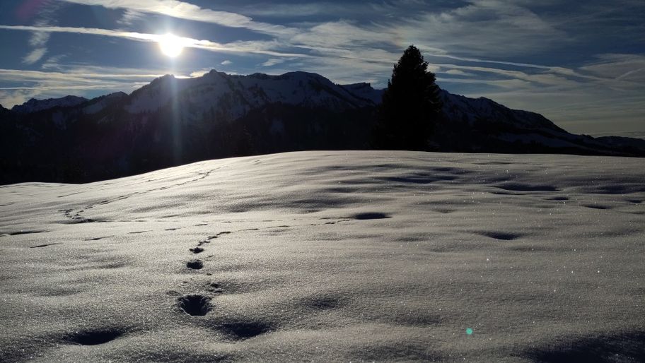 Georunde Rindberg Sibratsgfäll mit Schneeschuhen