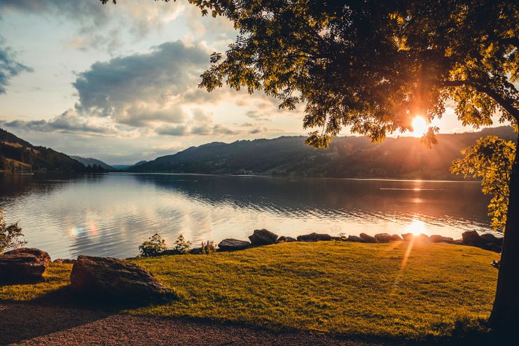 Abendstimmung am Großen Alpsee