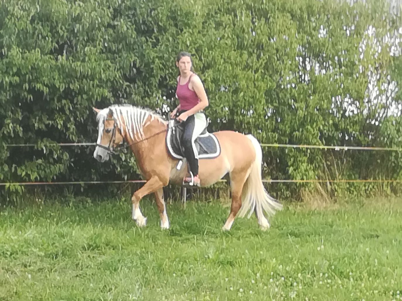 Reiten