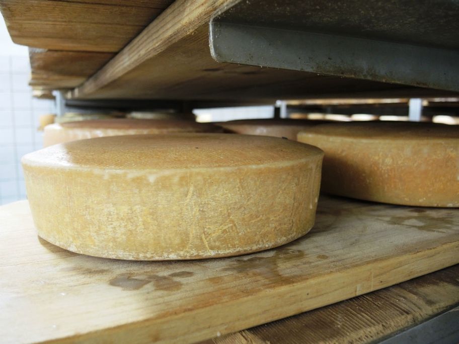 Käsekeller Bremenried