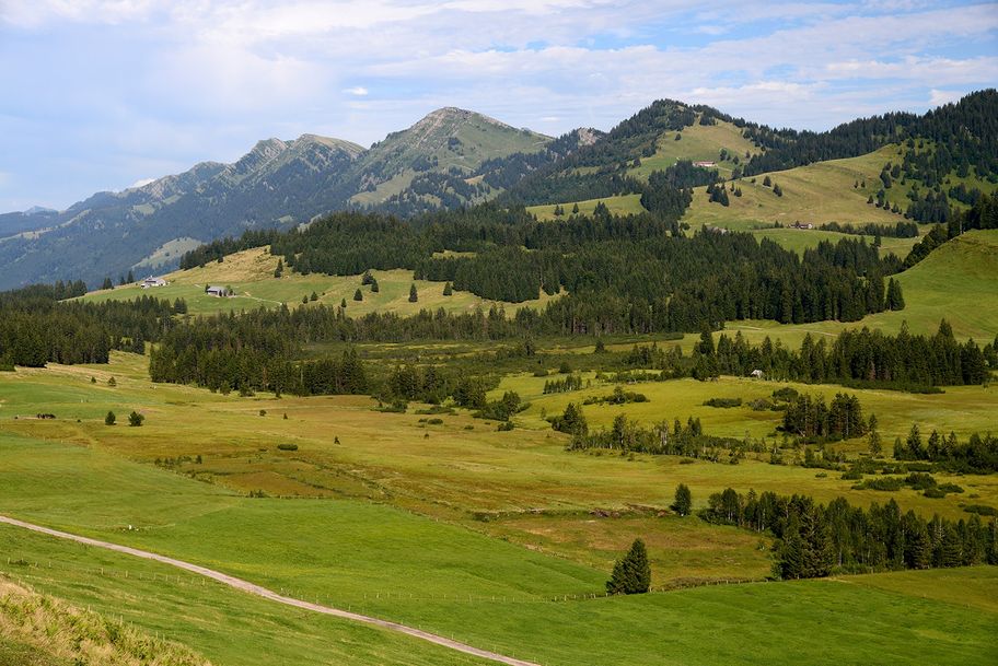 Vom Imberg durch das Häderichmoos - Moore und Alpen