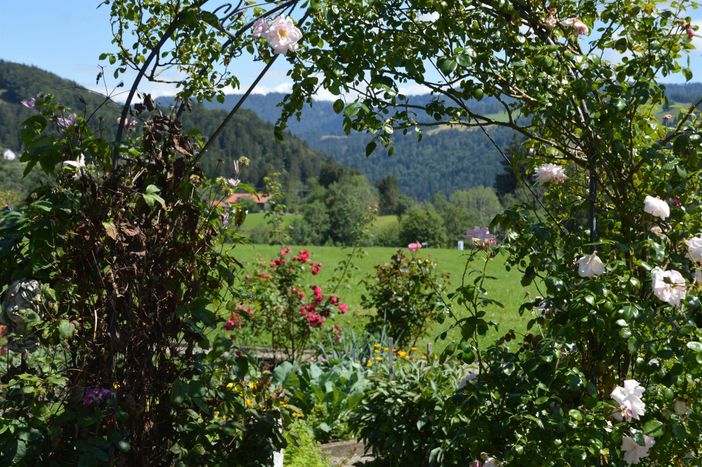 Ausblick vom Garten