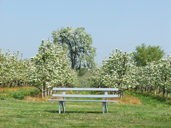 Aussichtspunkt Bullrichanlage