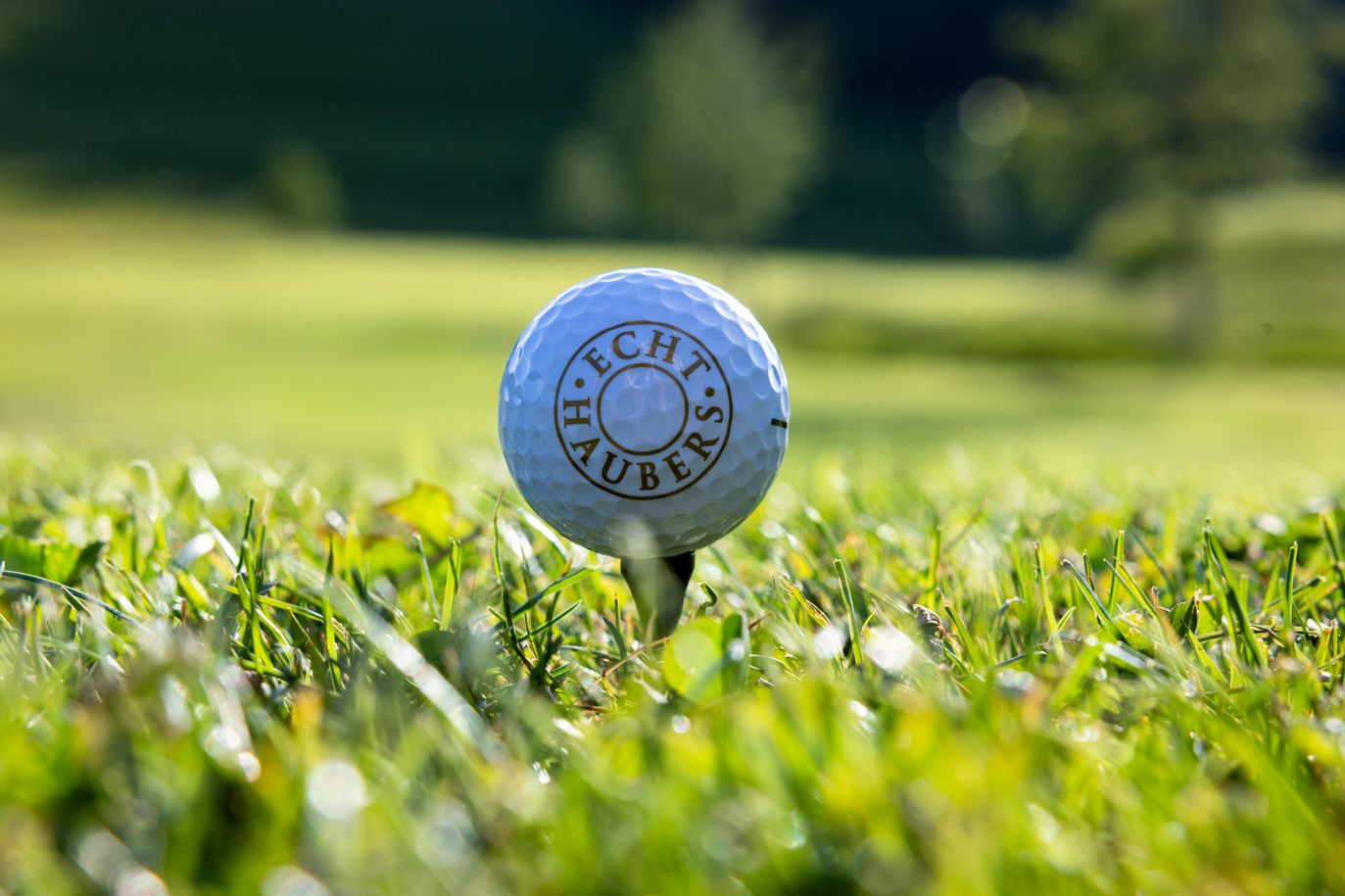 golfball-echt-haubers (1)