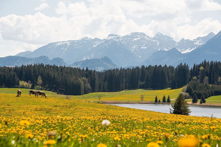 14. ABK Allgäuer Radltour 2025 - Pfronten - Genuss-Radrunde
