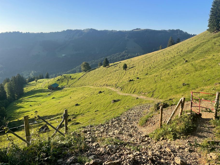 Blick zurück zur Alpe Gratvorsäß