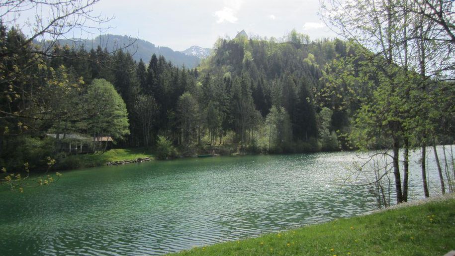 Auwaldsee bei Fischen in 10 Min. erreichbar