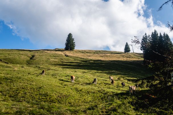 Bier-Genusswanderweg "Von Kranzegg auf den Grüntengrat" in Rettenberg