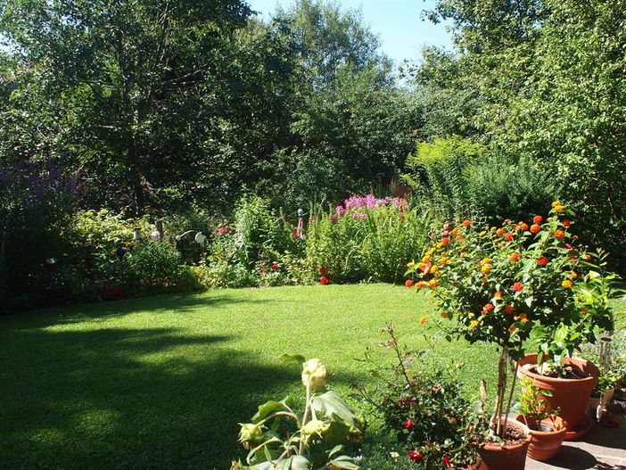 Blick in den Garten