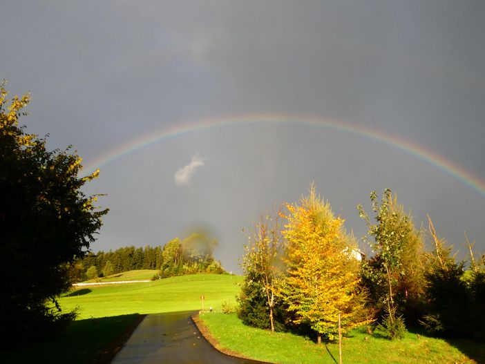...unter dem Regenbogen durch zu uns