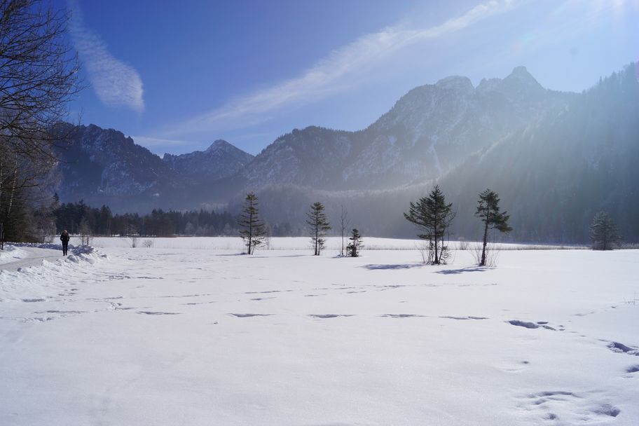 Blick in Richtung Schwansee