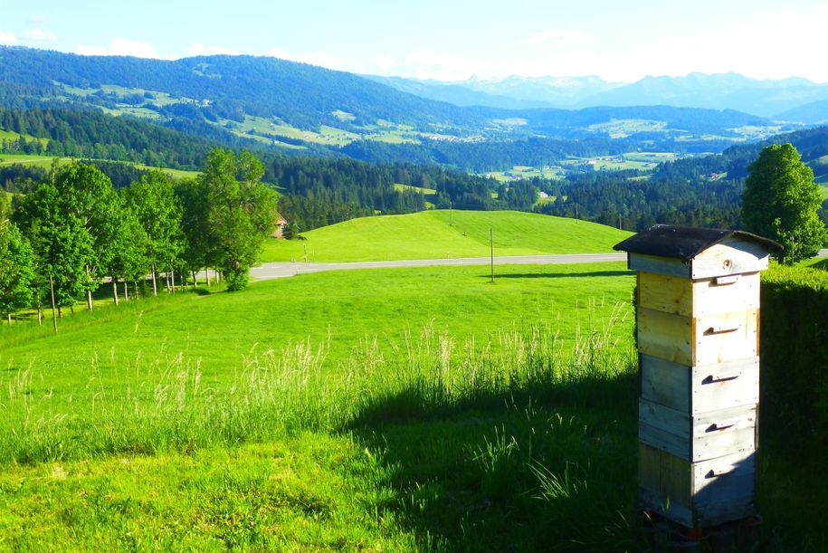 Traumblick mit Bienenhaus