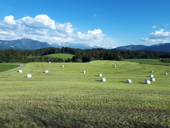 Foto direkt am Hof
