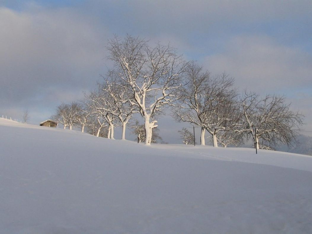 Wintertag in der Natur Abendstimmuntg am Haus