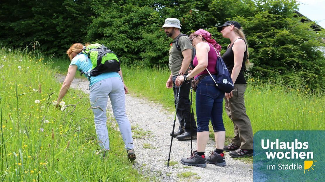 Kräuterwanderung © Tourist Information Immenstadt