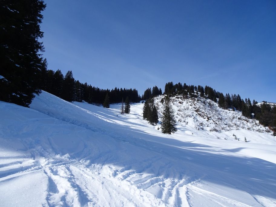 Durch das Bolgental auf den Wannenkopf
