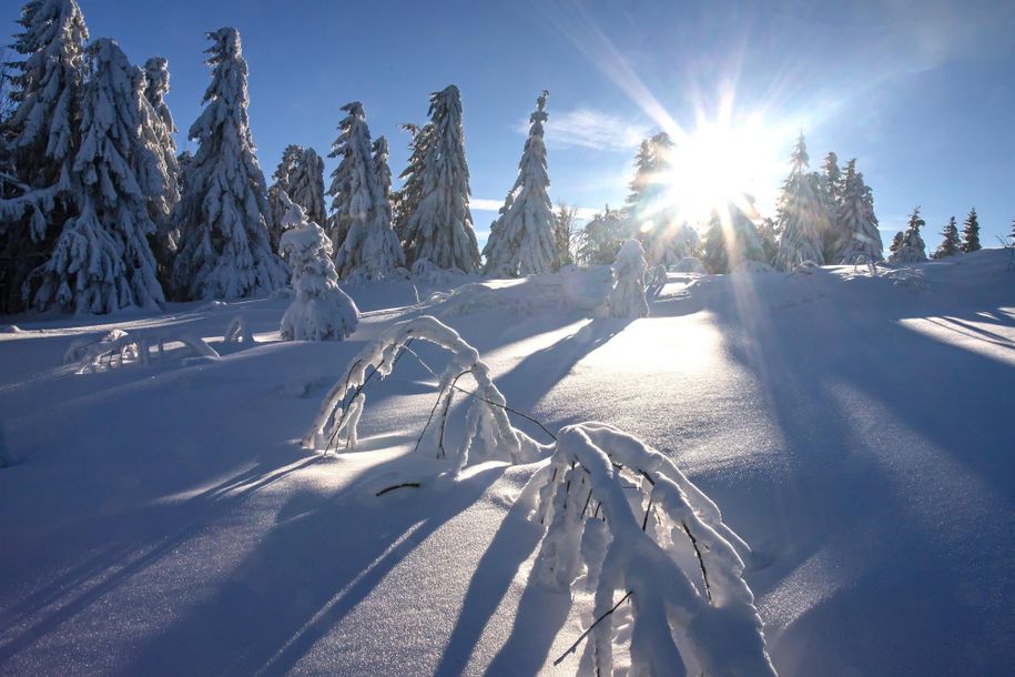 Winter Impressionen