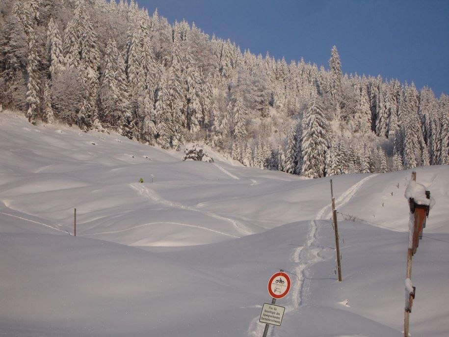 Zwei Spuren im Schnee