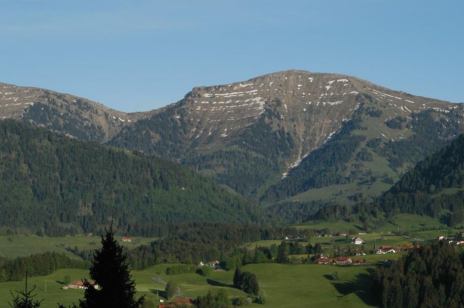Blick auf den "Hochgrat"