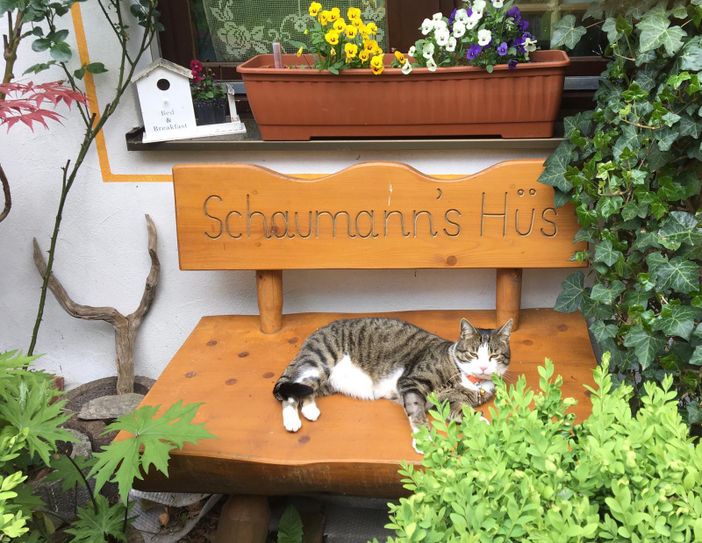 Unsere Katze fühlt sich wohl!