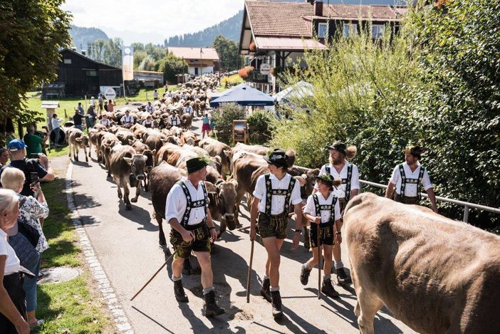 Viehscheid in den Hörnerdörfern