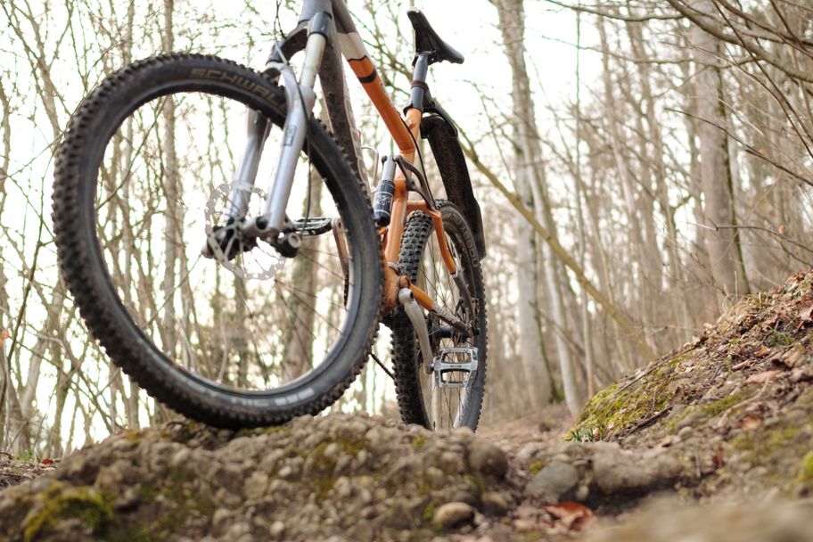 Mountainbike im Wald