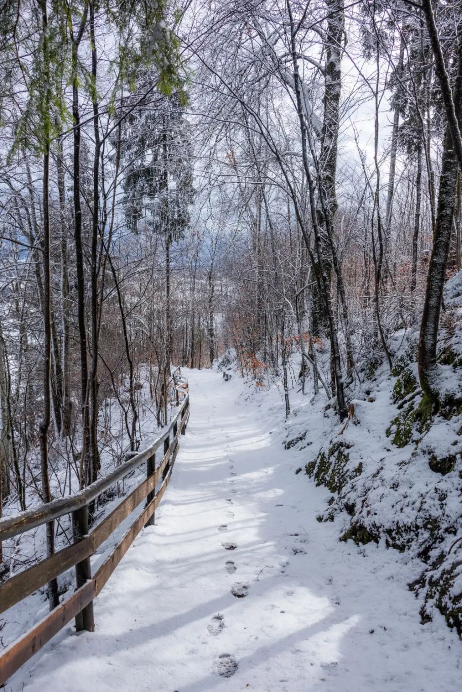 Verschneiter Waldwanderweg hinauf zur Burgruine Eisenberg.